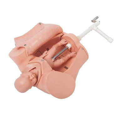 Wholesale Medical Education Manikin Childbirth Simulator Training Model