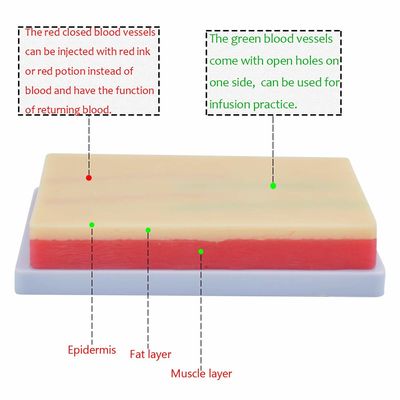Electricity Power Source IV Training Kit Phlebotomy Practice Kit With Needles Venipuncture