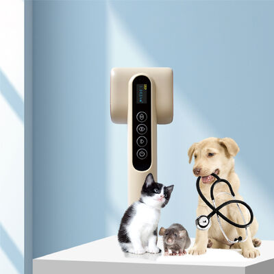 Dispositivo di terapia a luce rossa e blu veterinaria Saferlife YET-L1